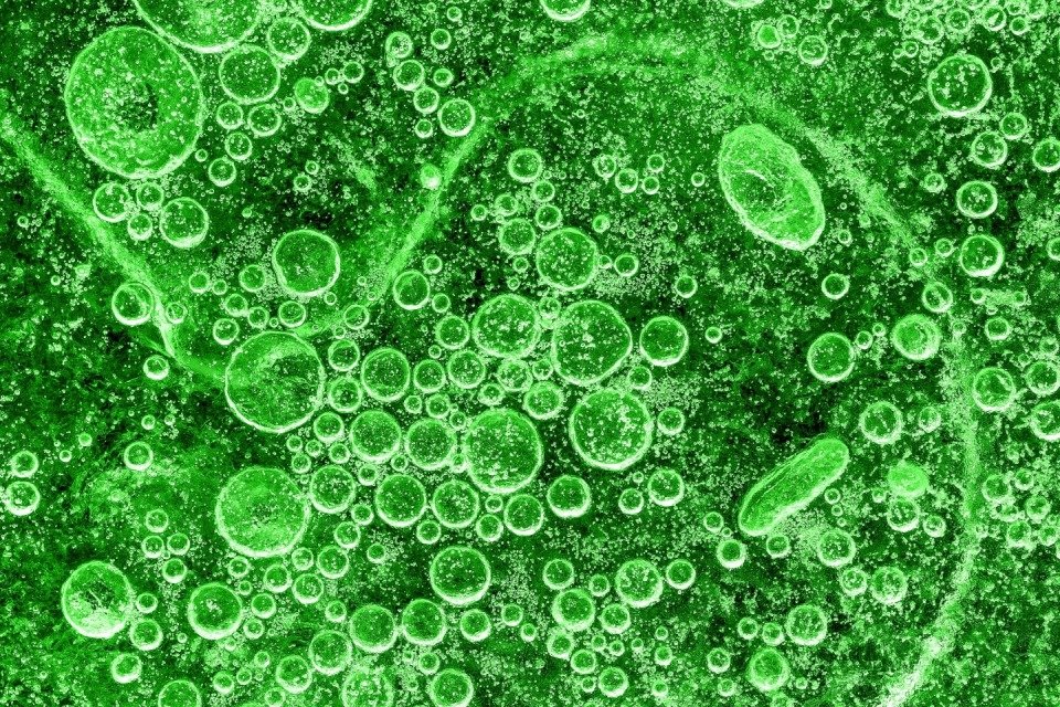 High Resolution Flow Imaging System HiRes FIM